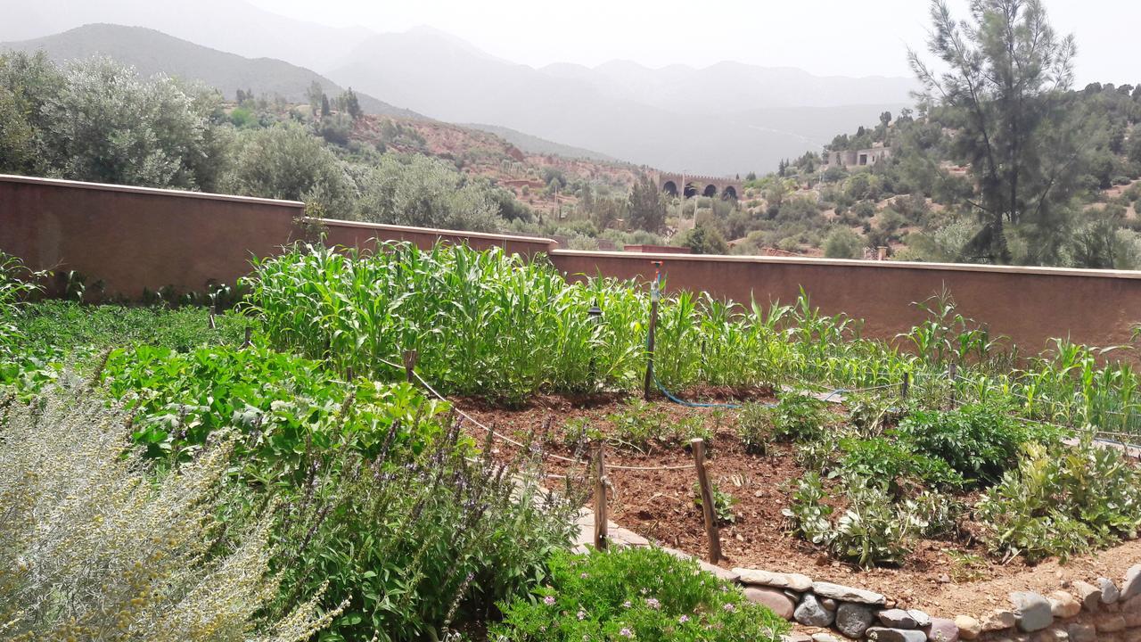 Ouirgane Ecolodge Exteriér fotografie